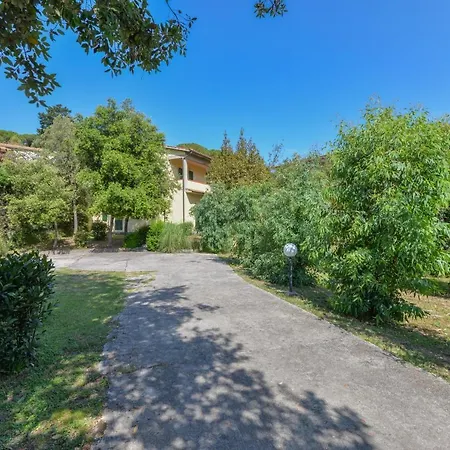 Casa Castagnola 펜션 *